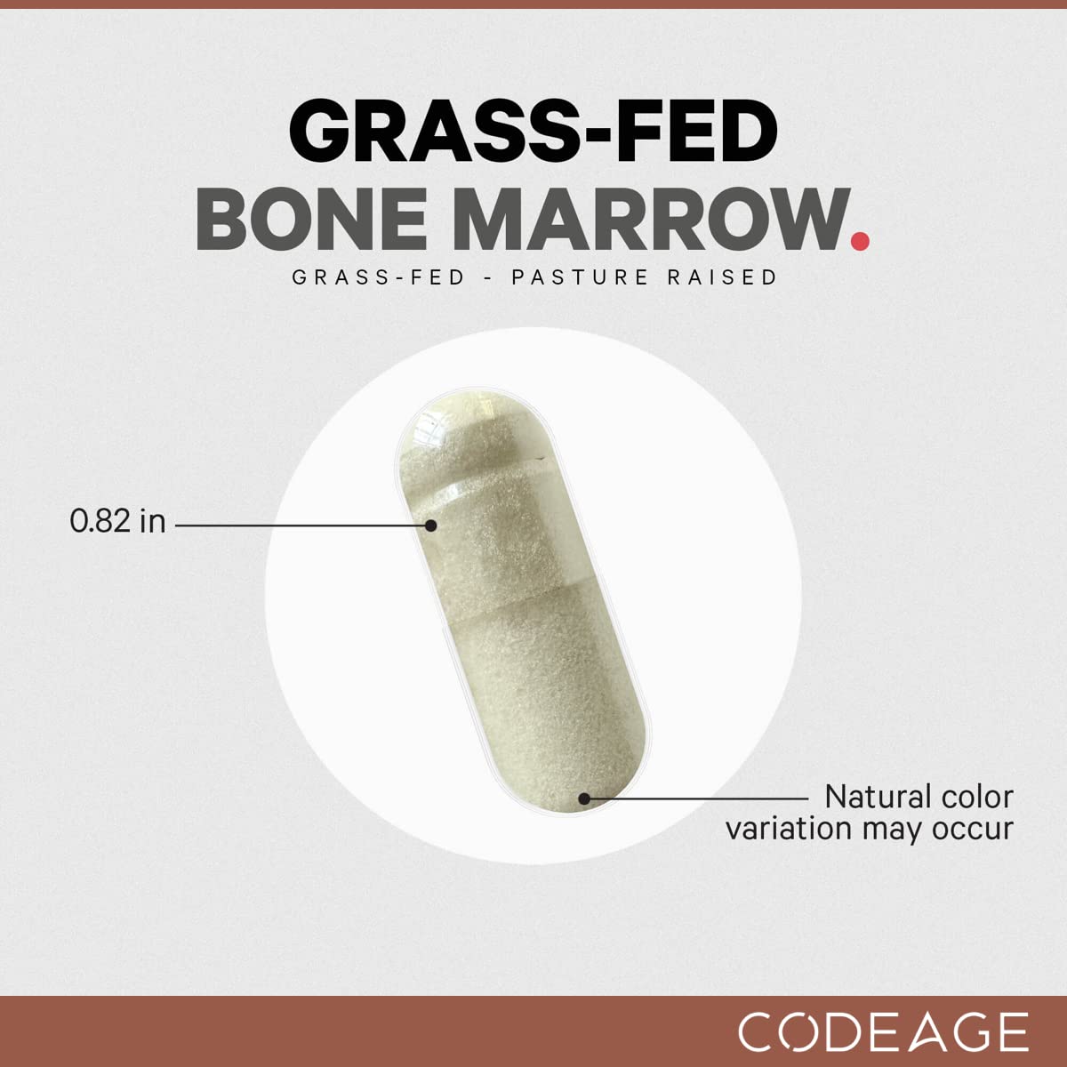 Whole bone extracts visualization