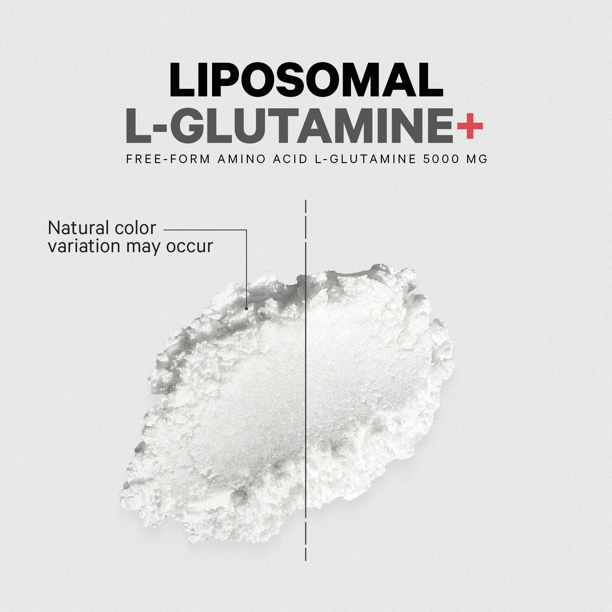 Unflavored L-Glutamine powder in a scoop