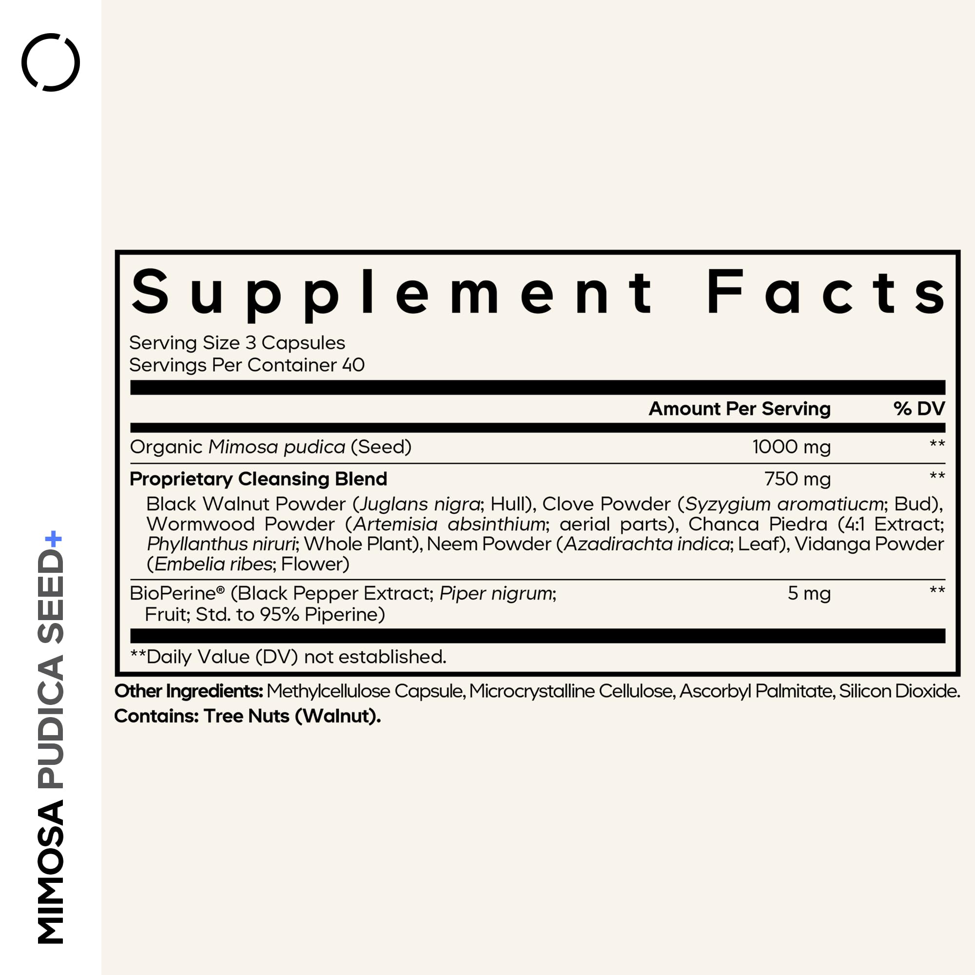 Organic Mimosa Pudica seeds close-up
