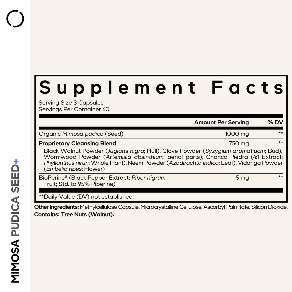 Organic Mimosa Pudica seeds close-up
