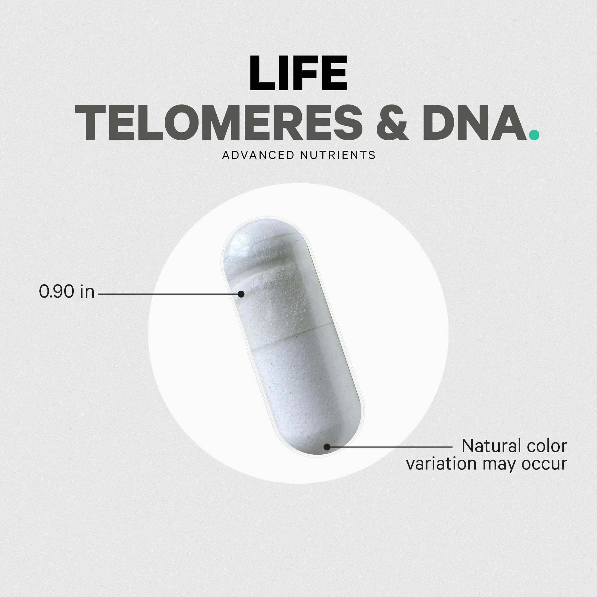 Concept art illustrating DNA methylation and telomere support