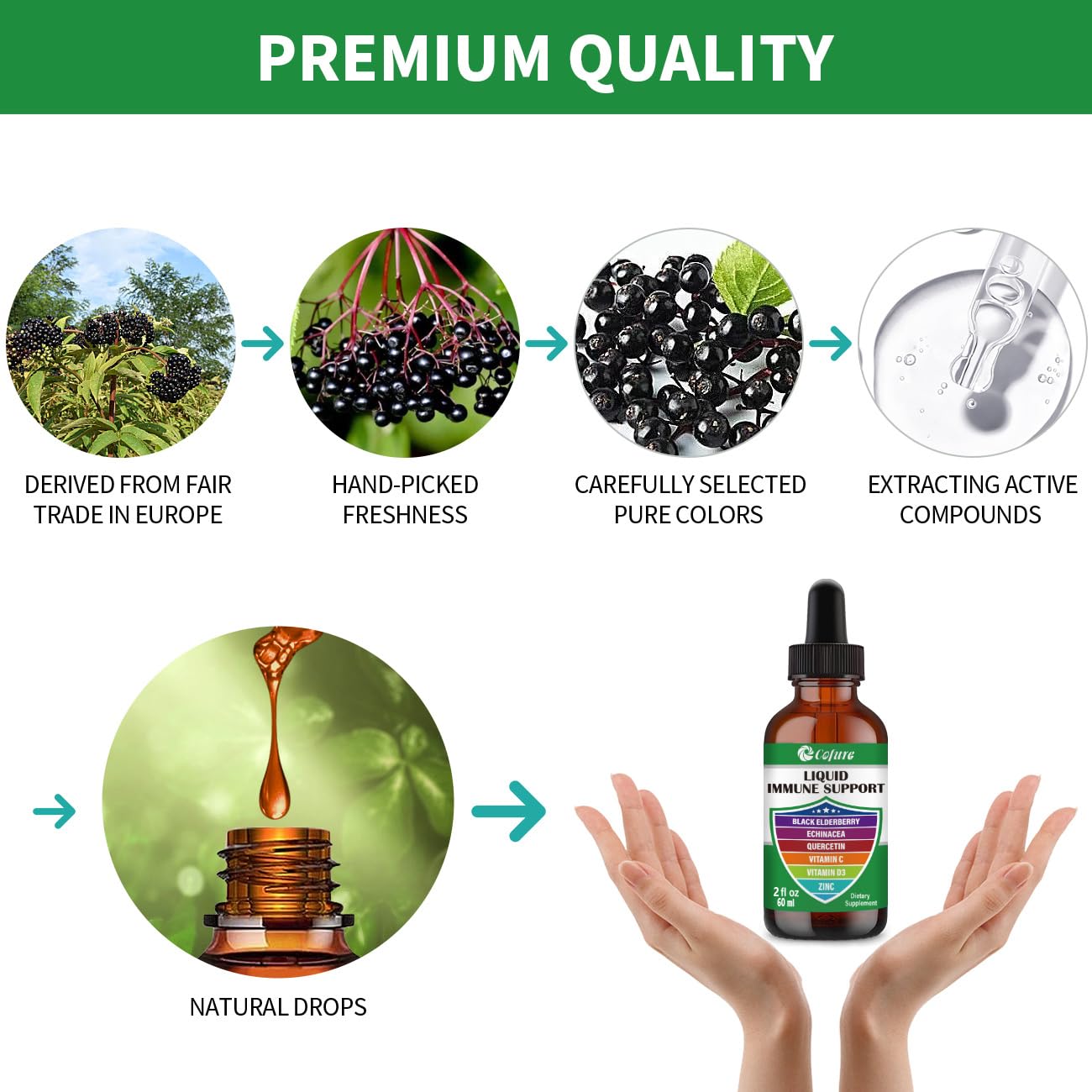 Vegan, non-GMO, gluten-free immune support formula ingredients