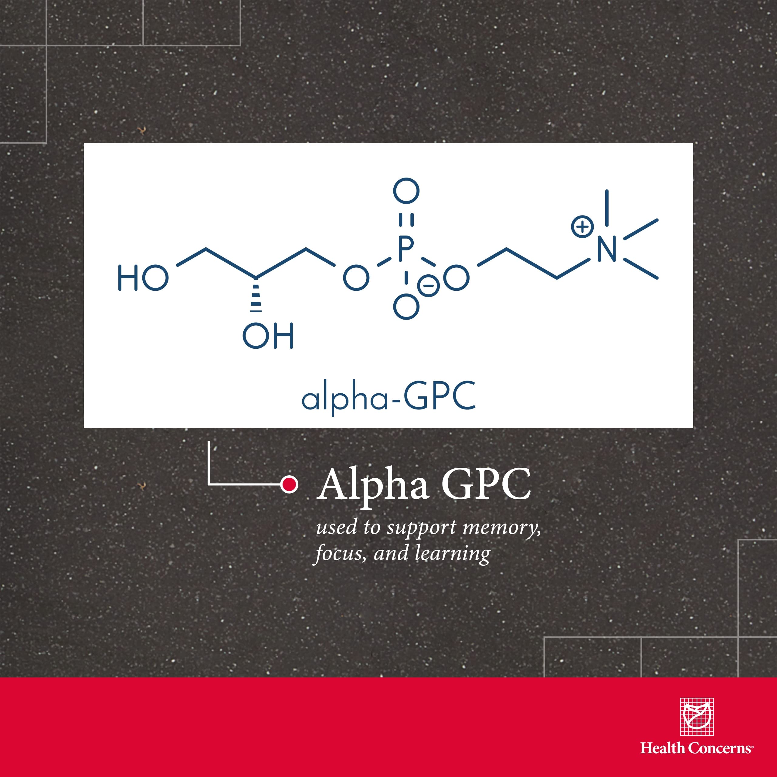 Close-up of Alpha-GPC 600 mg capsule
