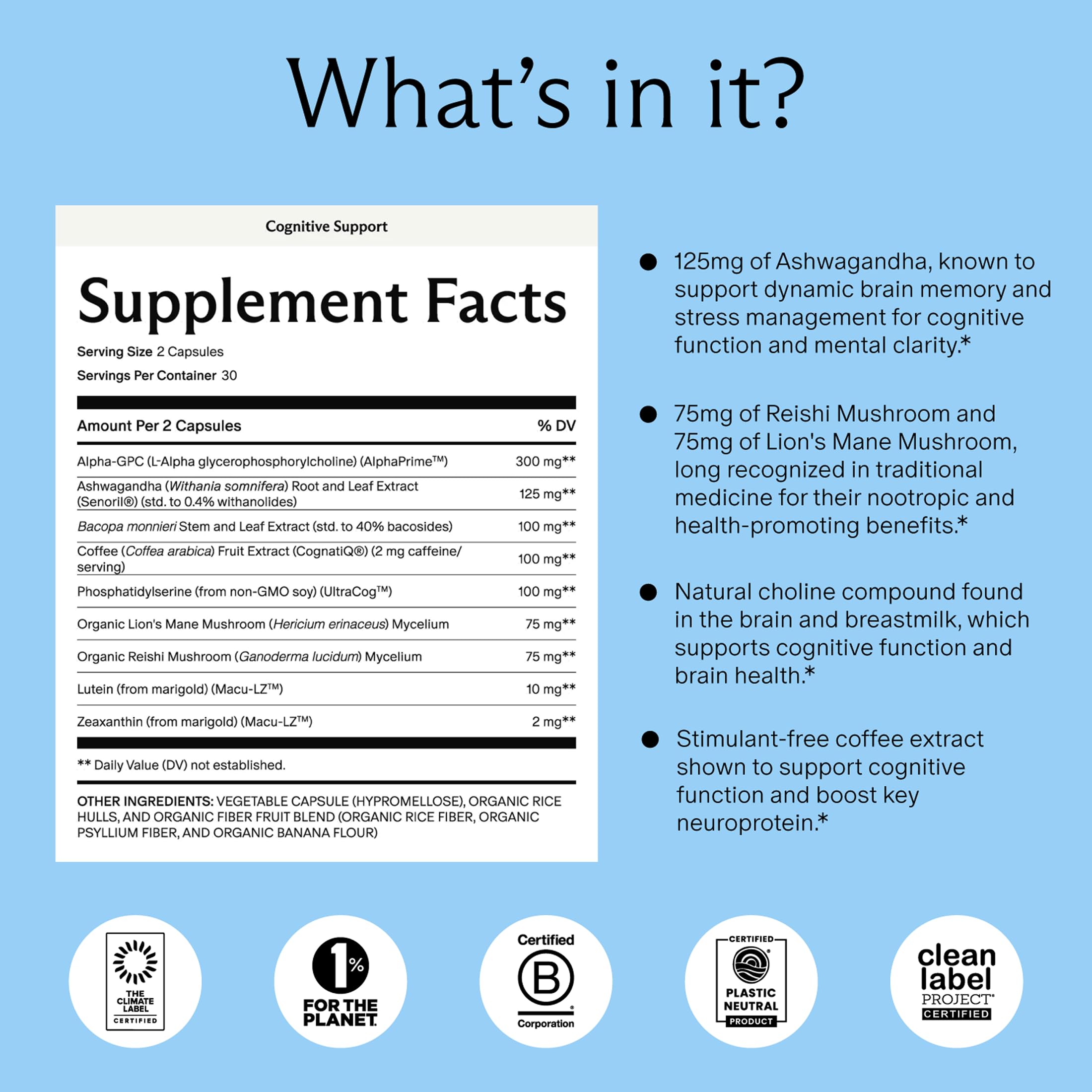 Close-up of Ashwagandha key ingredient in the cognitive support formula
