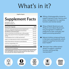 Close-up of Ashwagandha key ingredient in the cognitive support formula