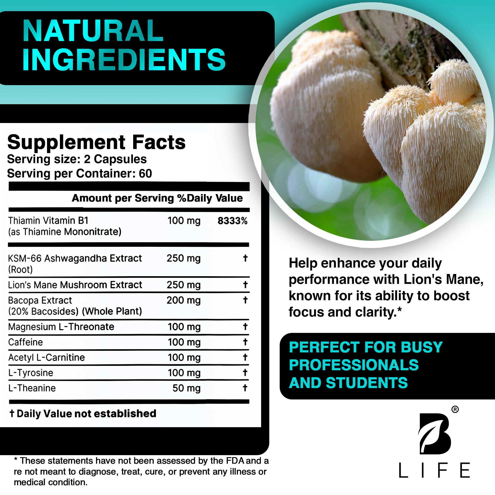 Cognitive wellness boost with nootropic mushrooms