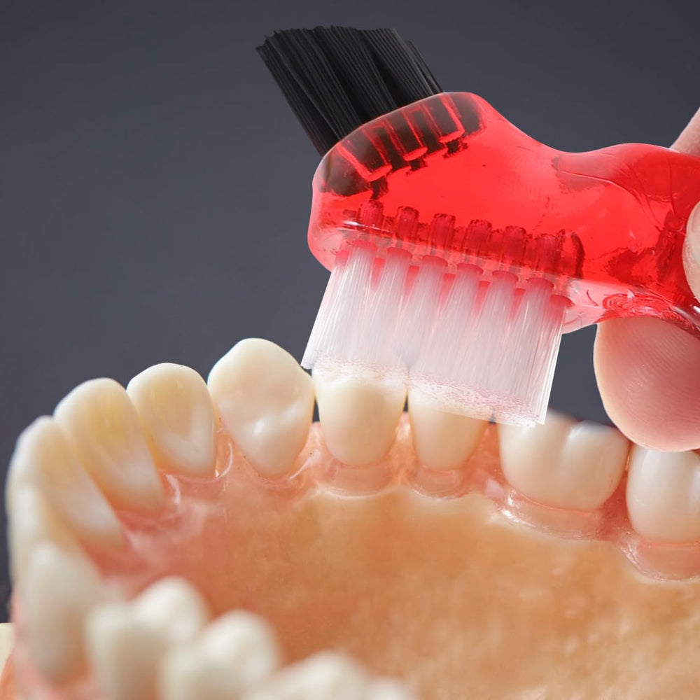 COHEALI 4-pack green denture cleaning brush