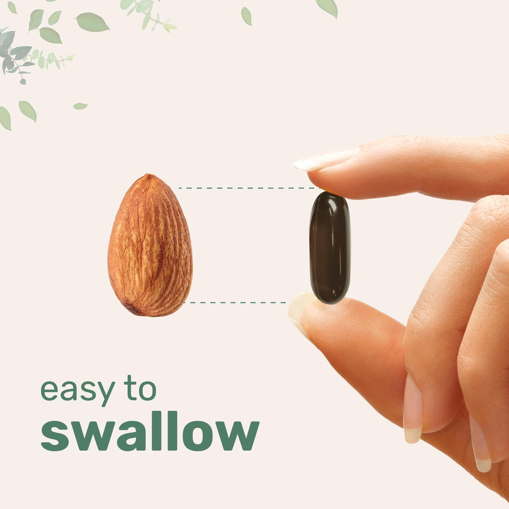 Cold-pressed, sustainably sourced sunflower lecithin origins