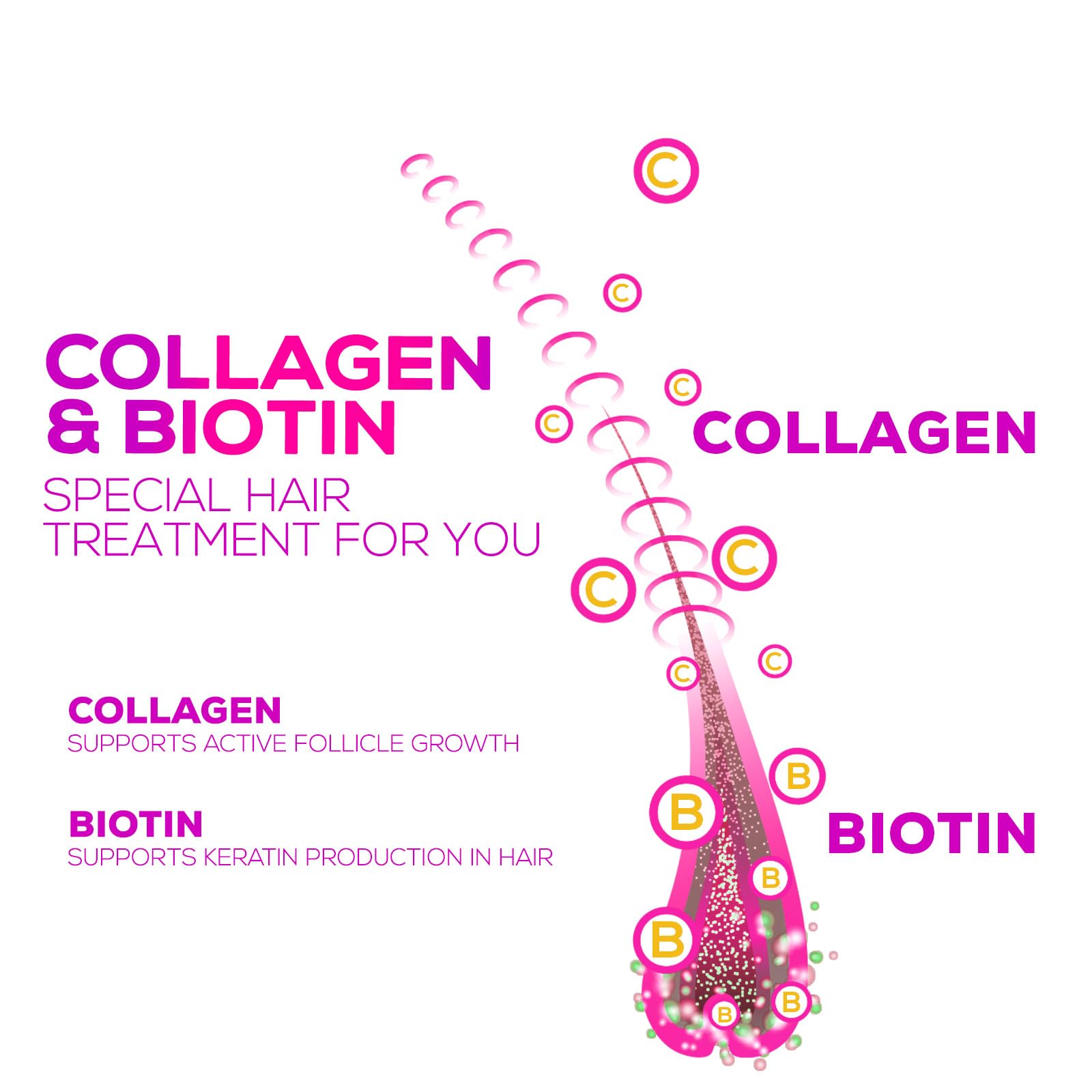 Graphic showing hydrolyzed collagen Type I & III in gummies