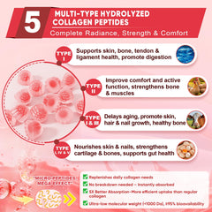 Hydrolyzed multi-collagen types I, II, III, V, X