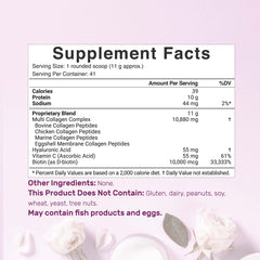 Collagen peptides types I II III V X