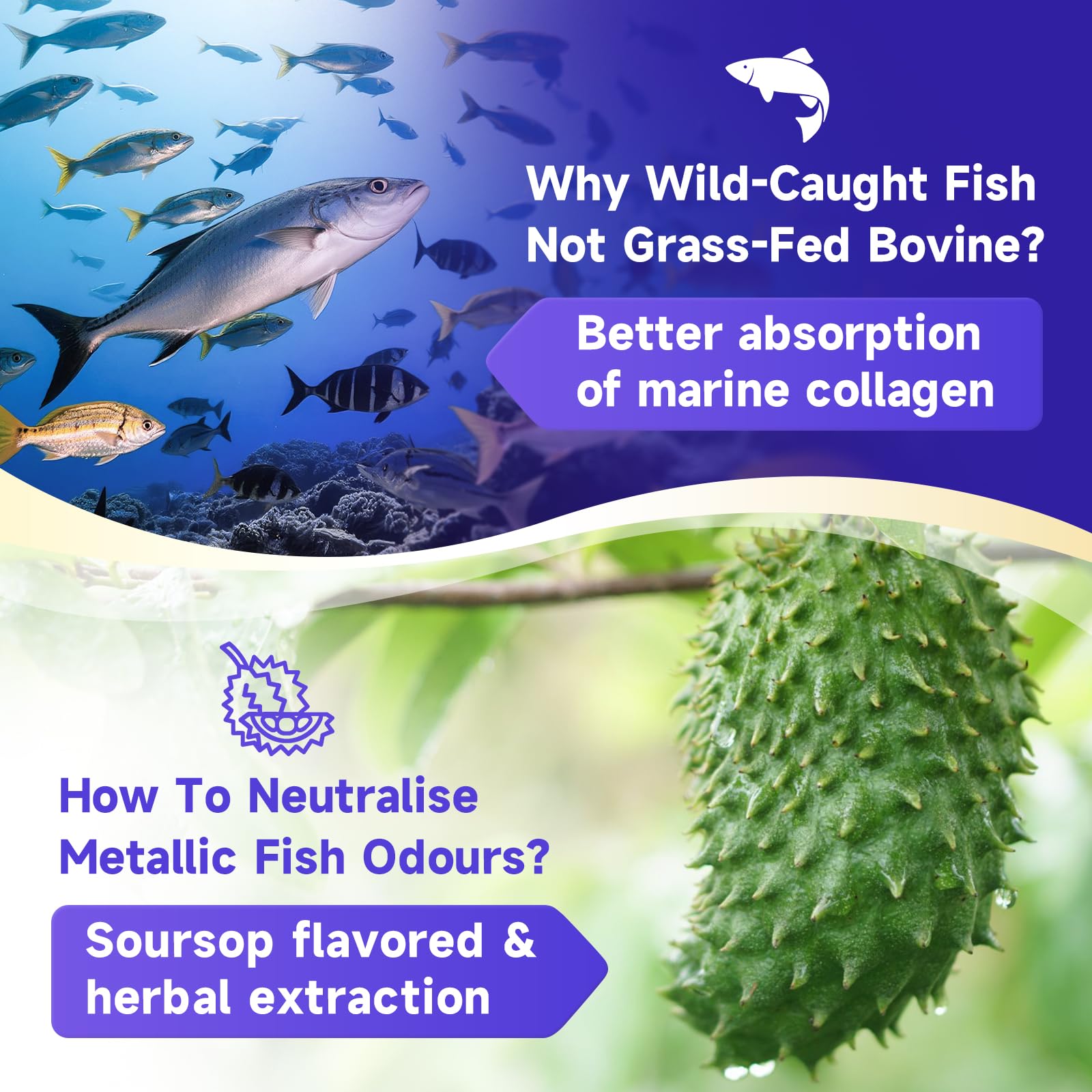 Close-up of 450g container with scoop