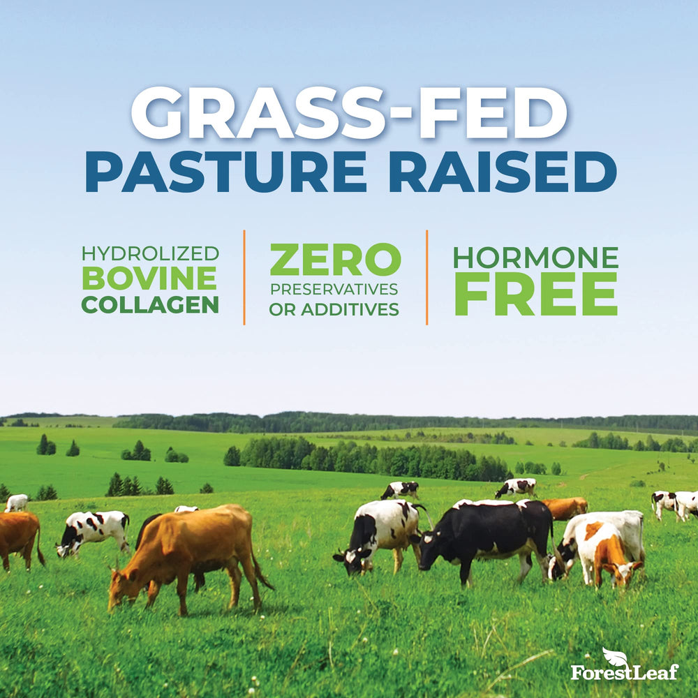 Collagen powder supporting hair, skin and nails