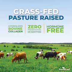 Collagen powder supporting hair, skin and nails