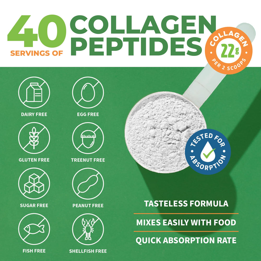 Unflavored hydrolyzed collagen peptides powder close-up