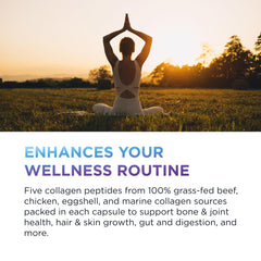 Graphic of collagen sources: grass-fed bovine, chicken, eggshell, and marine