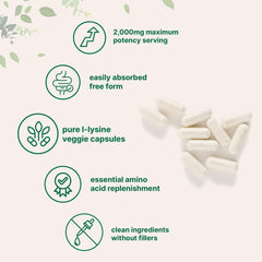 L-Lysine supporting collagen production