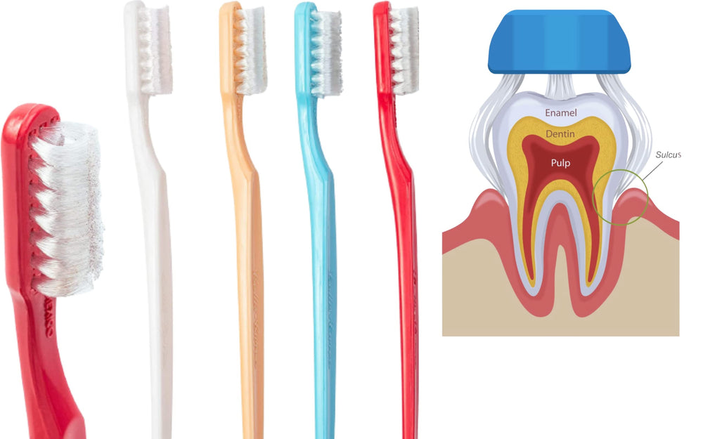 Collis Curve soft 3-sided orthodontic toothbrush close-up