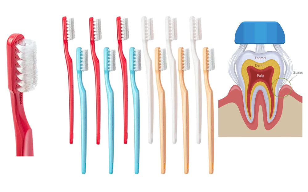 Close-up of Collis Curve soft 3-sided toothbrush head showing tri-surface design