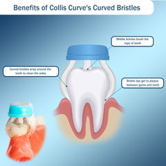 Soft bristles gentle on sensitive gums