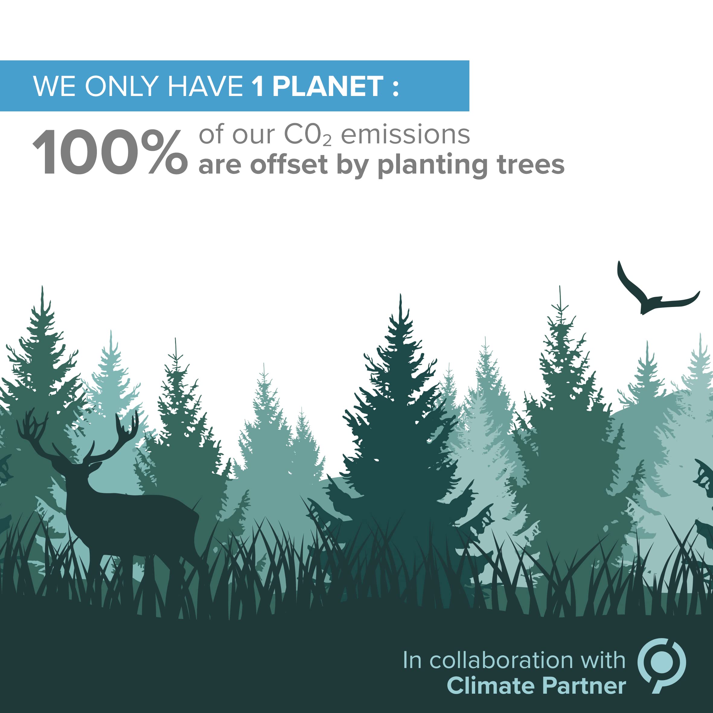 40 PPM potency label on bottle