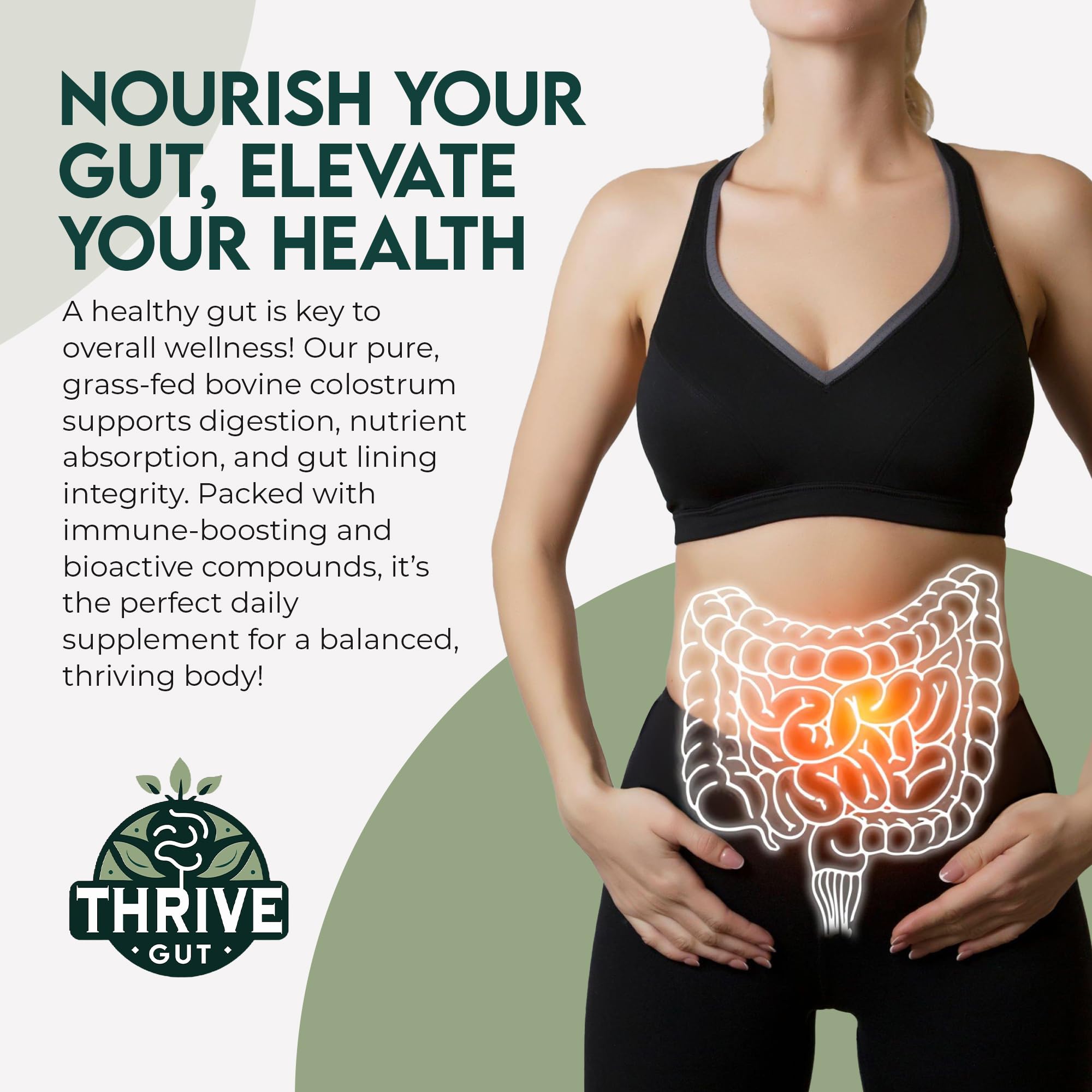 Gut health support graphic for Colostrum Gold