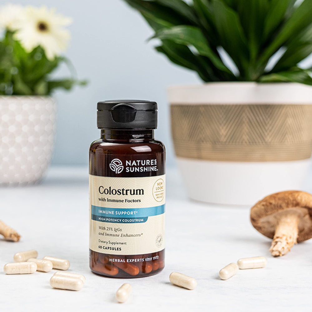 Close-up of Nature's Sunshine Colostrum 60 capsules