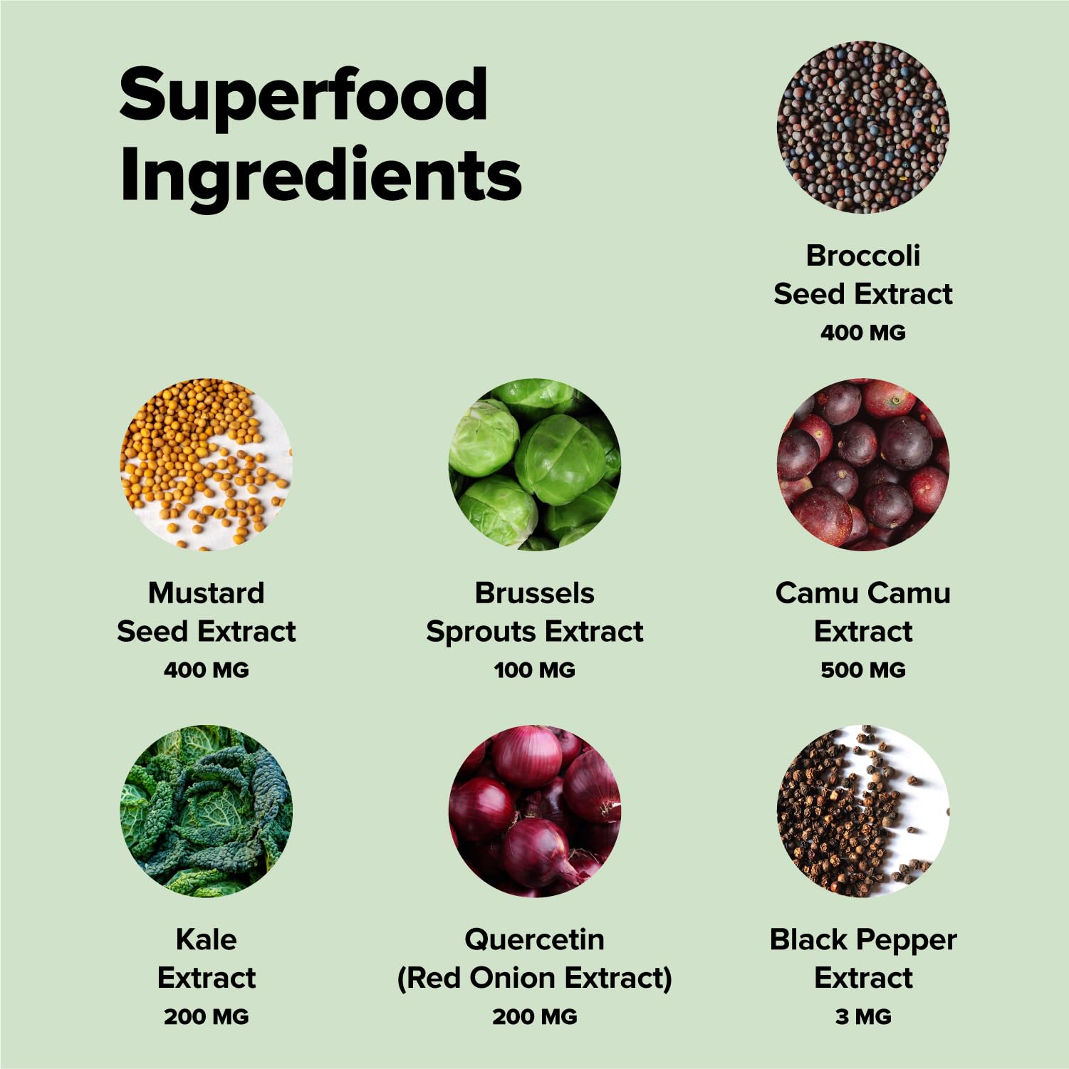 Eco-friendly compostable pouch packaging