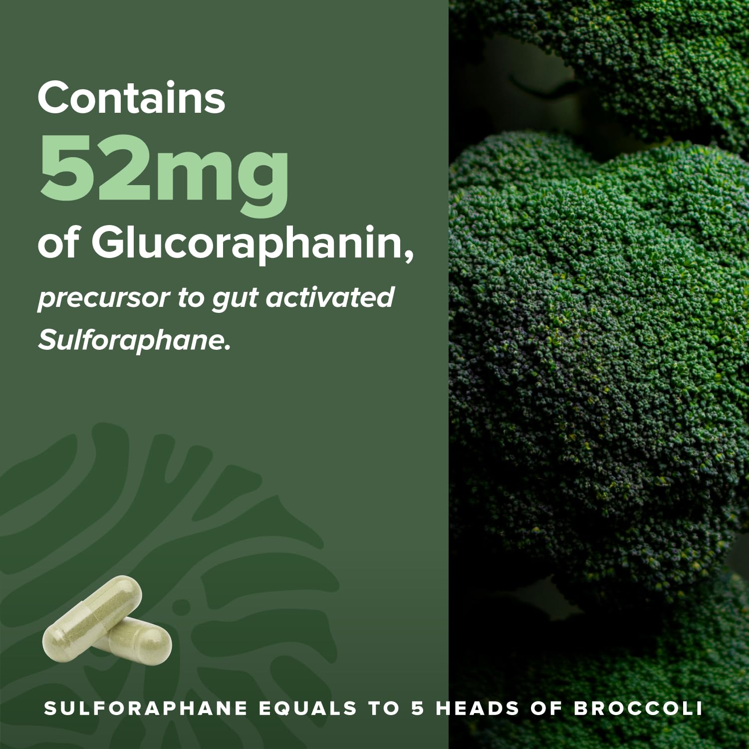 Ingredient highlights: kale, camu camu, quercetin and vitamin C