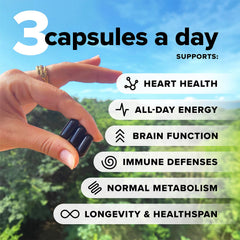 Ingredient highlights including B12, Omega-3 DHA & EPA, D3 & K2