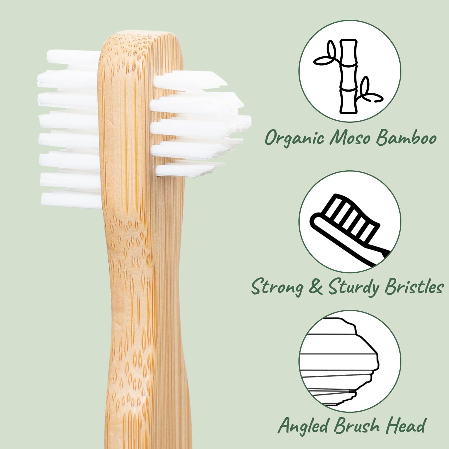 Complete cleaning kit with tablets and bamboo brush