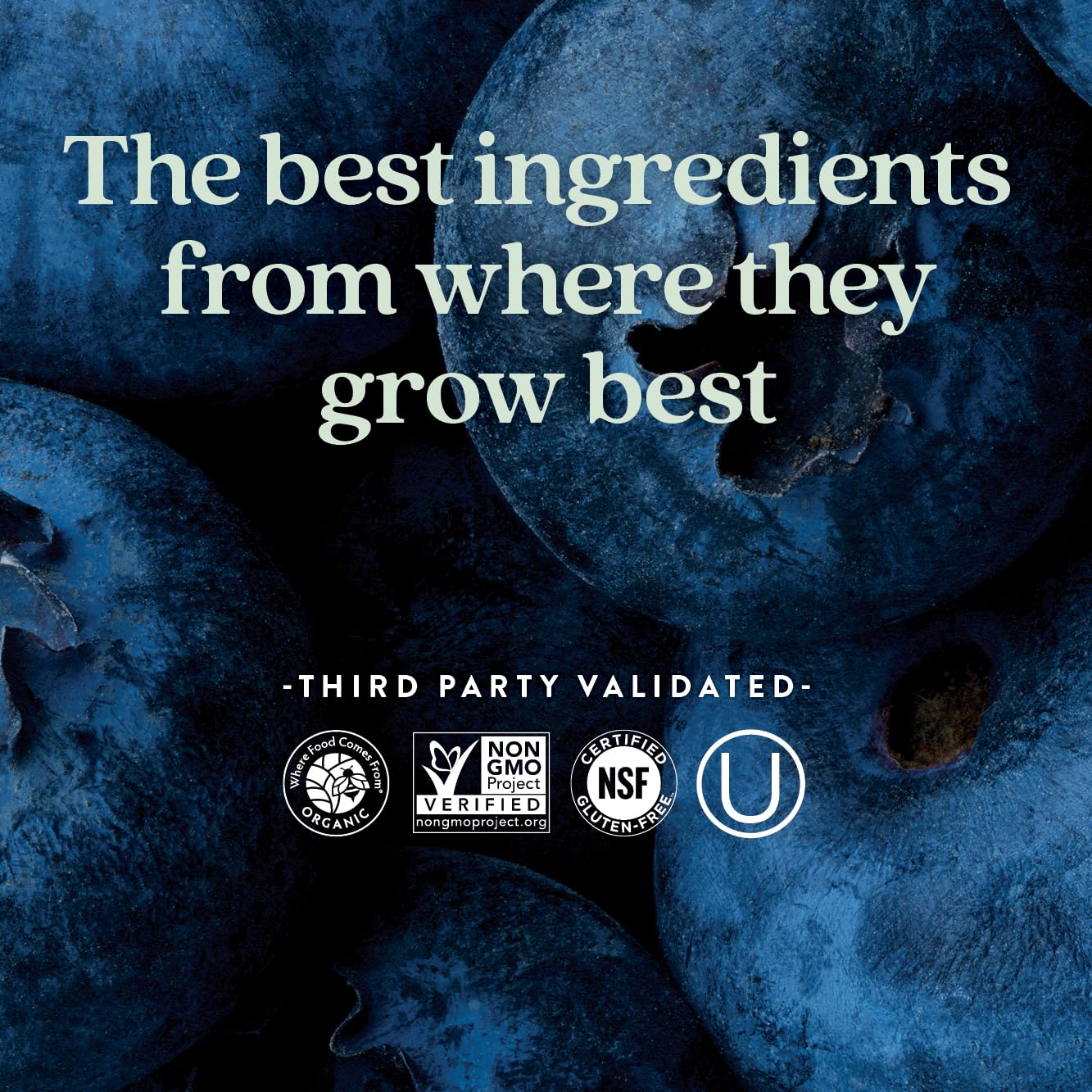 Complete prenatal vitamin with essential vitamins and minerals