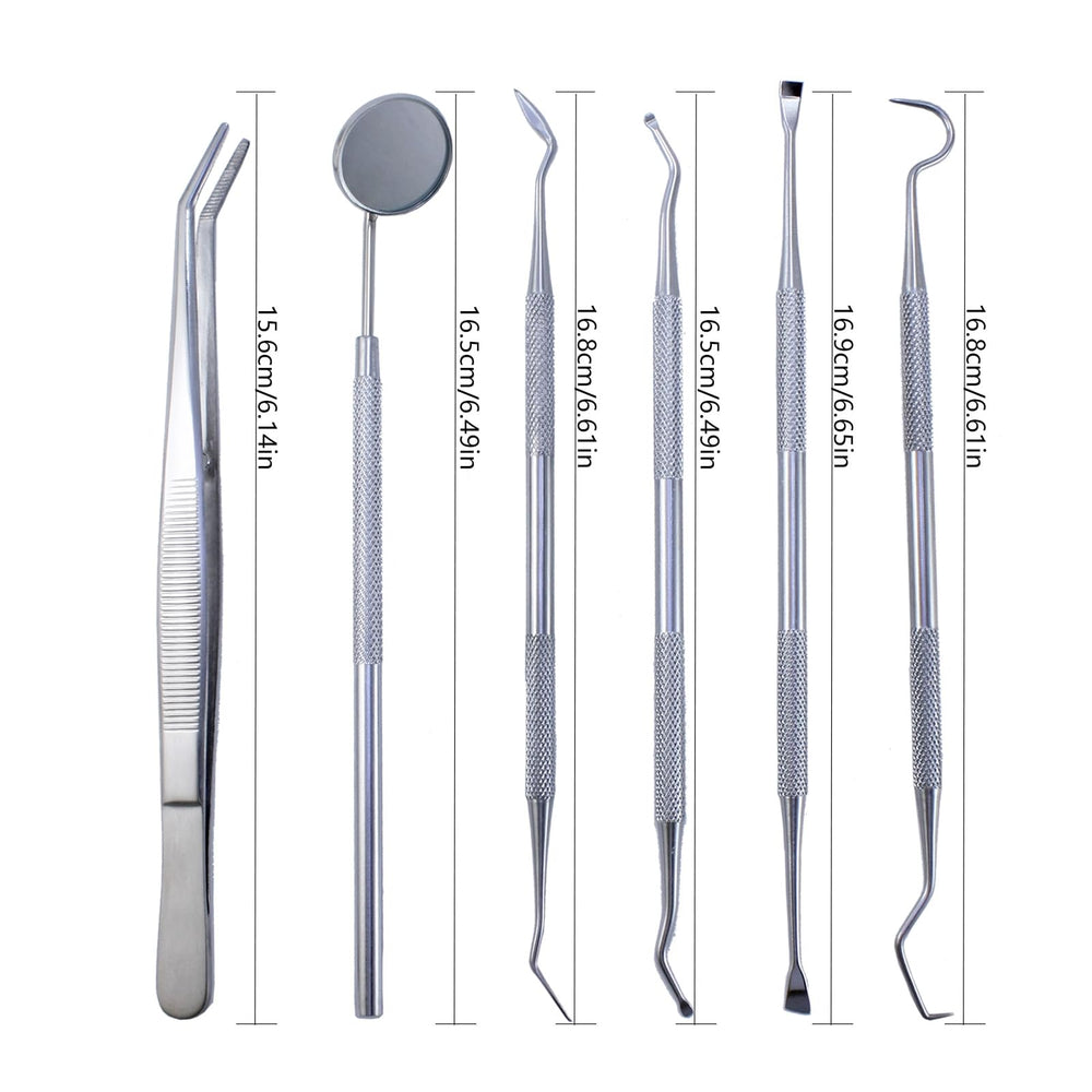 Travel case for the dental cleaning kit