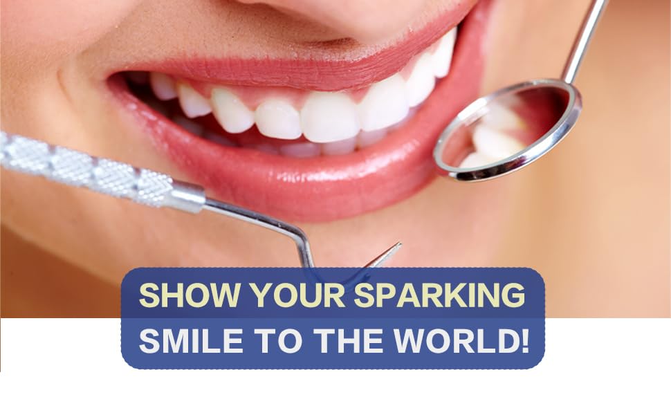 Complete dental cleaning kit in metal travel case