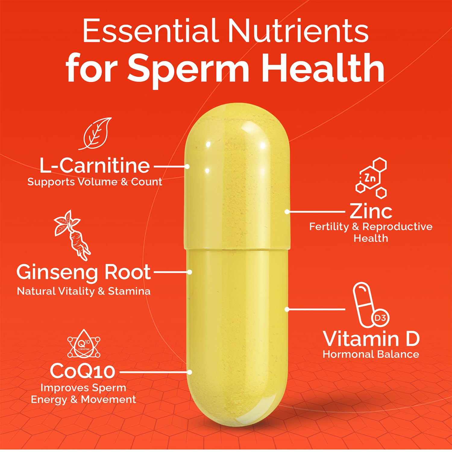 L-Carnitine, Zinc and antioxidants ingredients