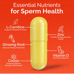 L-Carnitine, Zinc and antioxidants ingredients