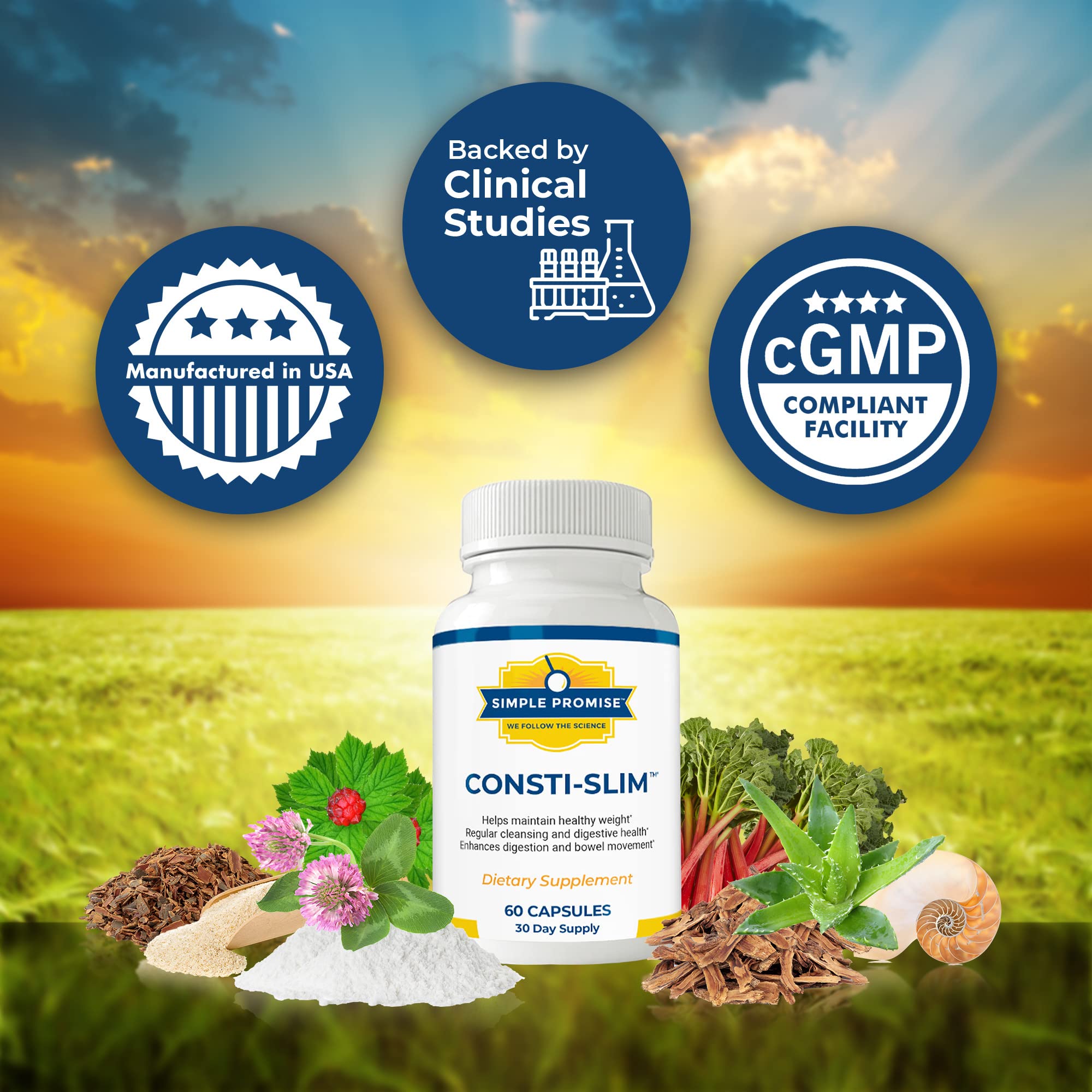 Aloe vera for digestive wellness