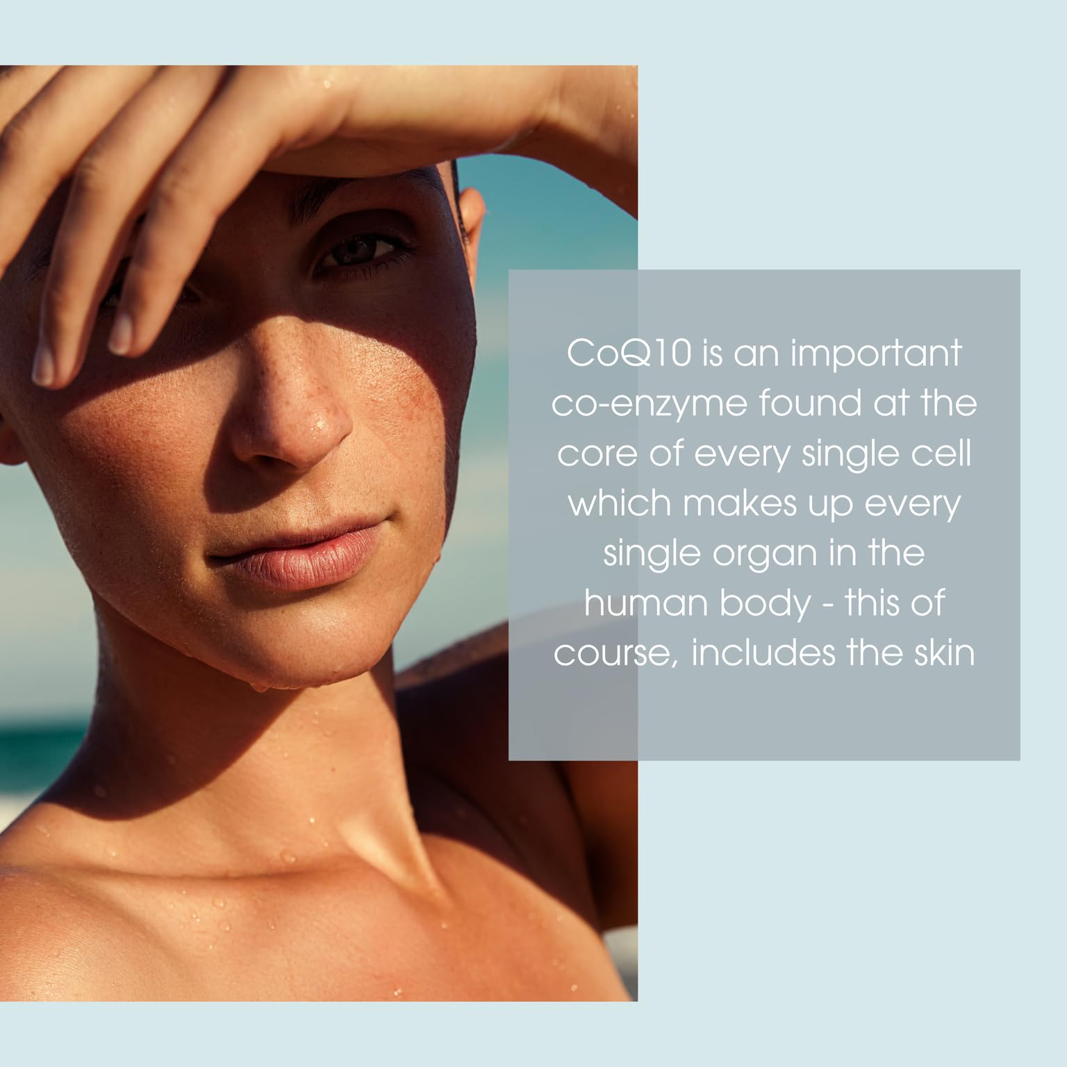 Label highlighting CoQ10 peptides and bergamot oil ingredients