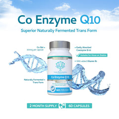 Illustration of the fermentation process used to produce CoQ10