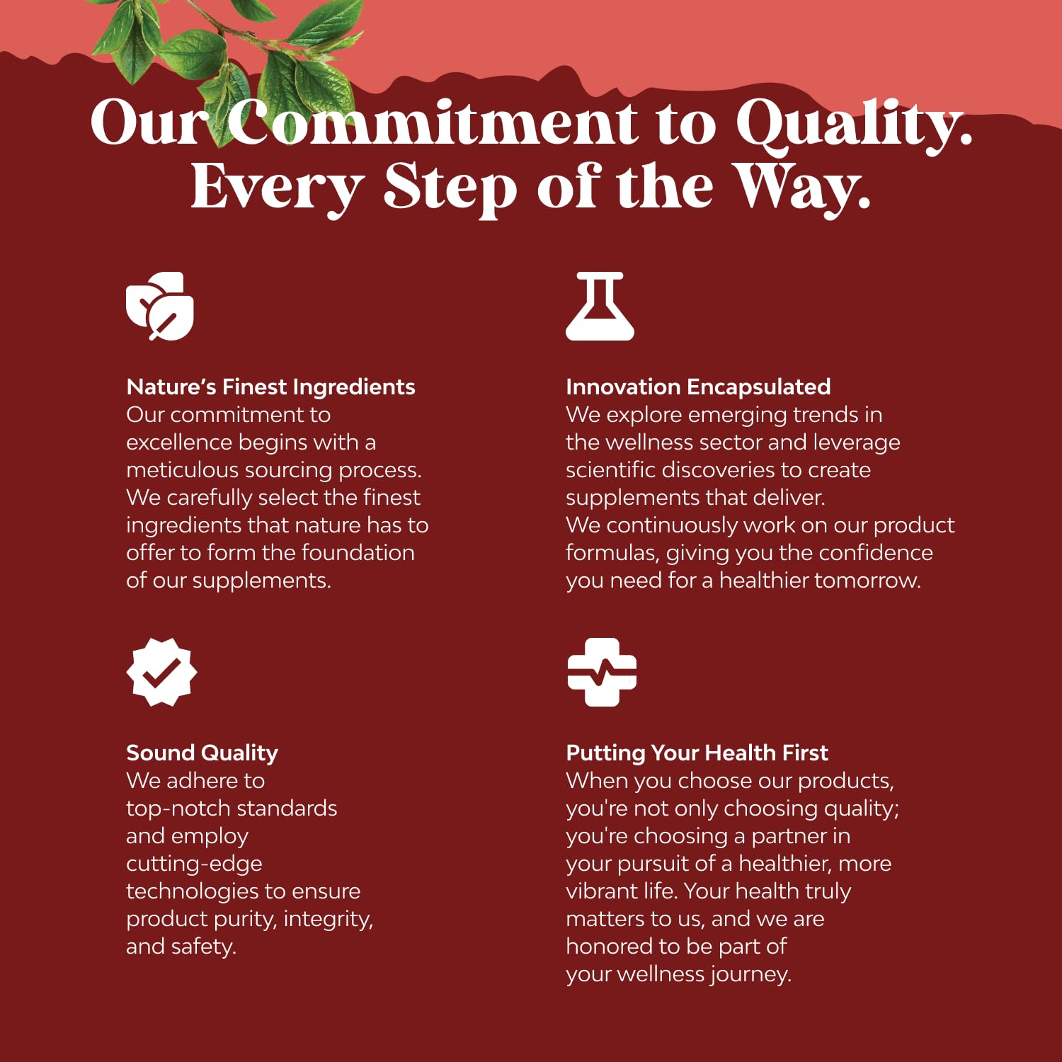 Concept image linking CoQ10 to fertility support