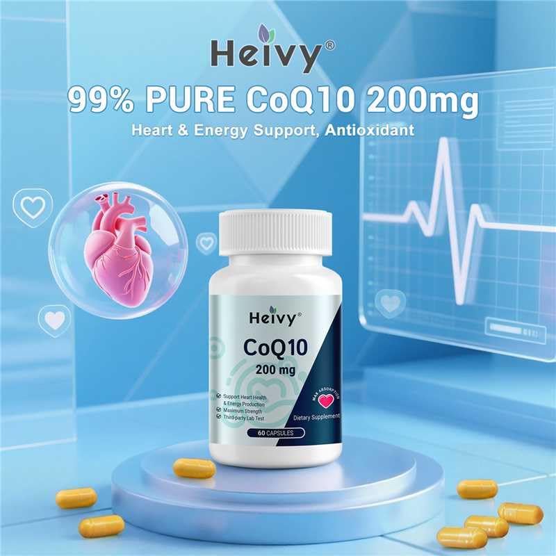 Illustration of heart and cardiovascular health with CoQ10