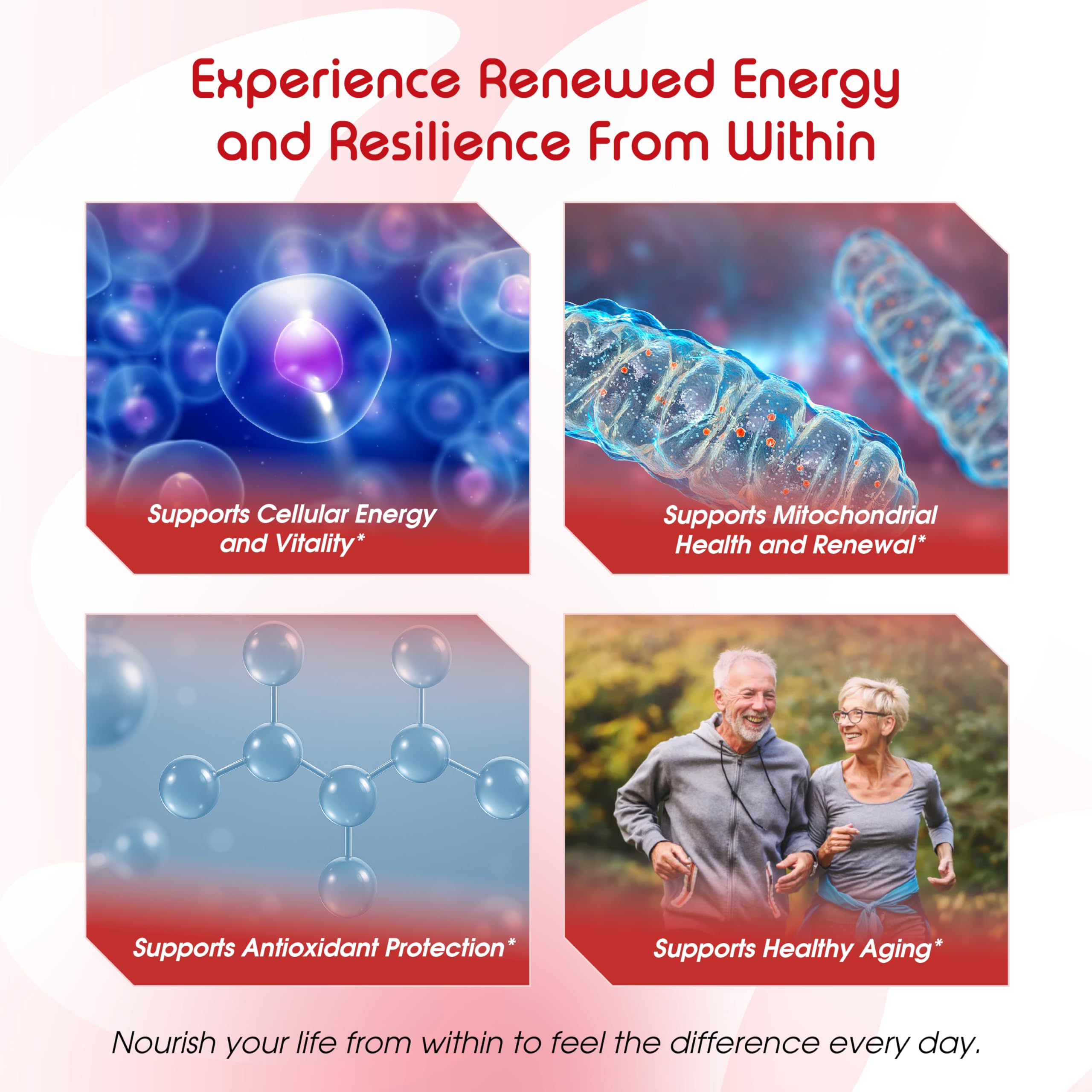 CoQ10, NAD+, and PQQ components illustration