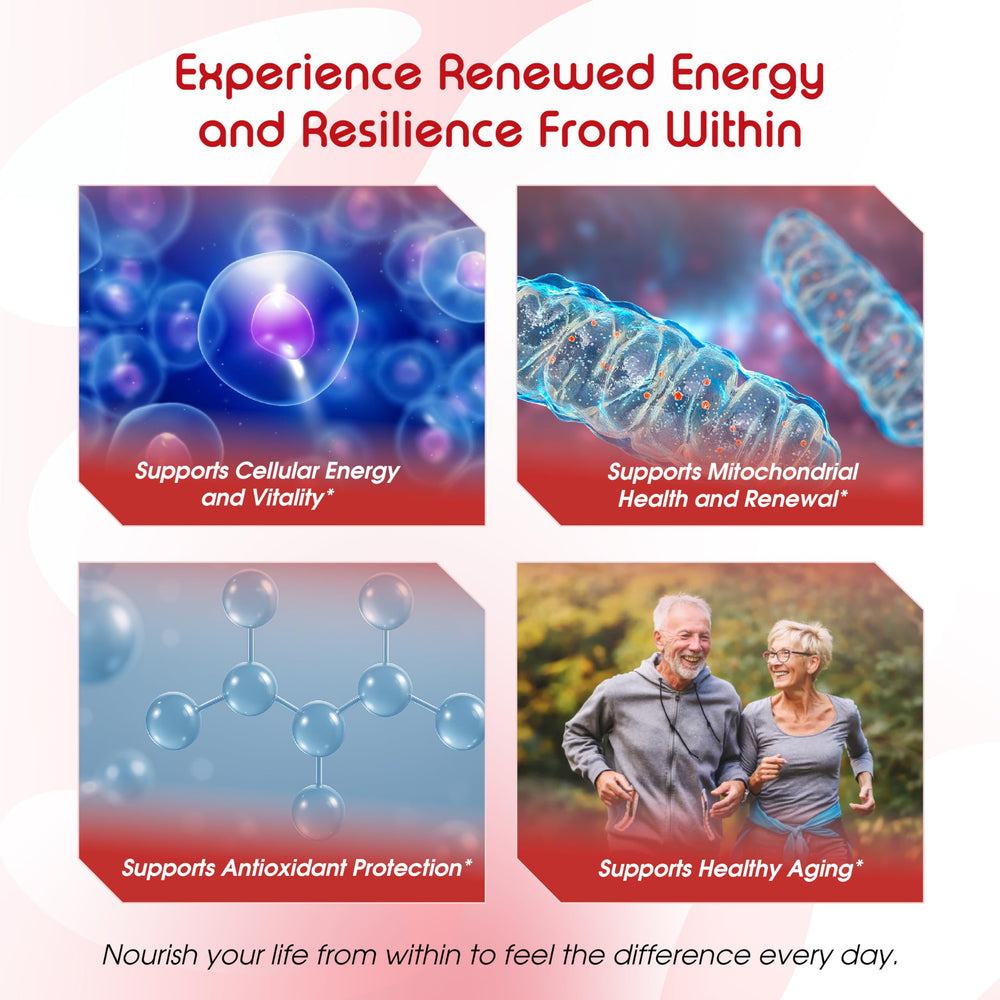 CoQ10, NAD+, and PQQ components illustration