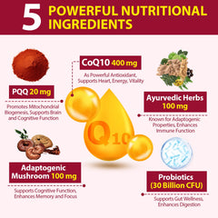 Close-up of Ayurvedic herb blend in CoQ10 Gummies