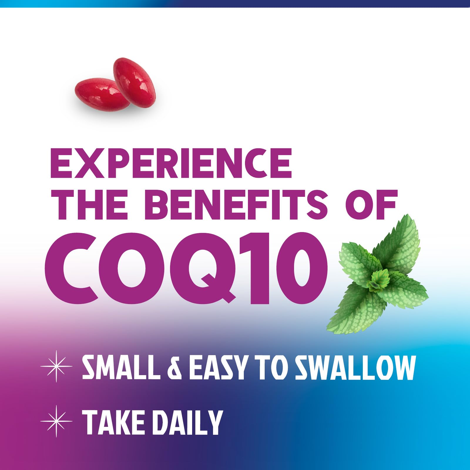 Piperine enhances CoQ10 absorption illustration