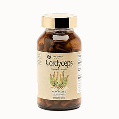 Close-up of a single cordyceps capsule