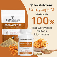 Close-up of Cordyceps Militaris capsules