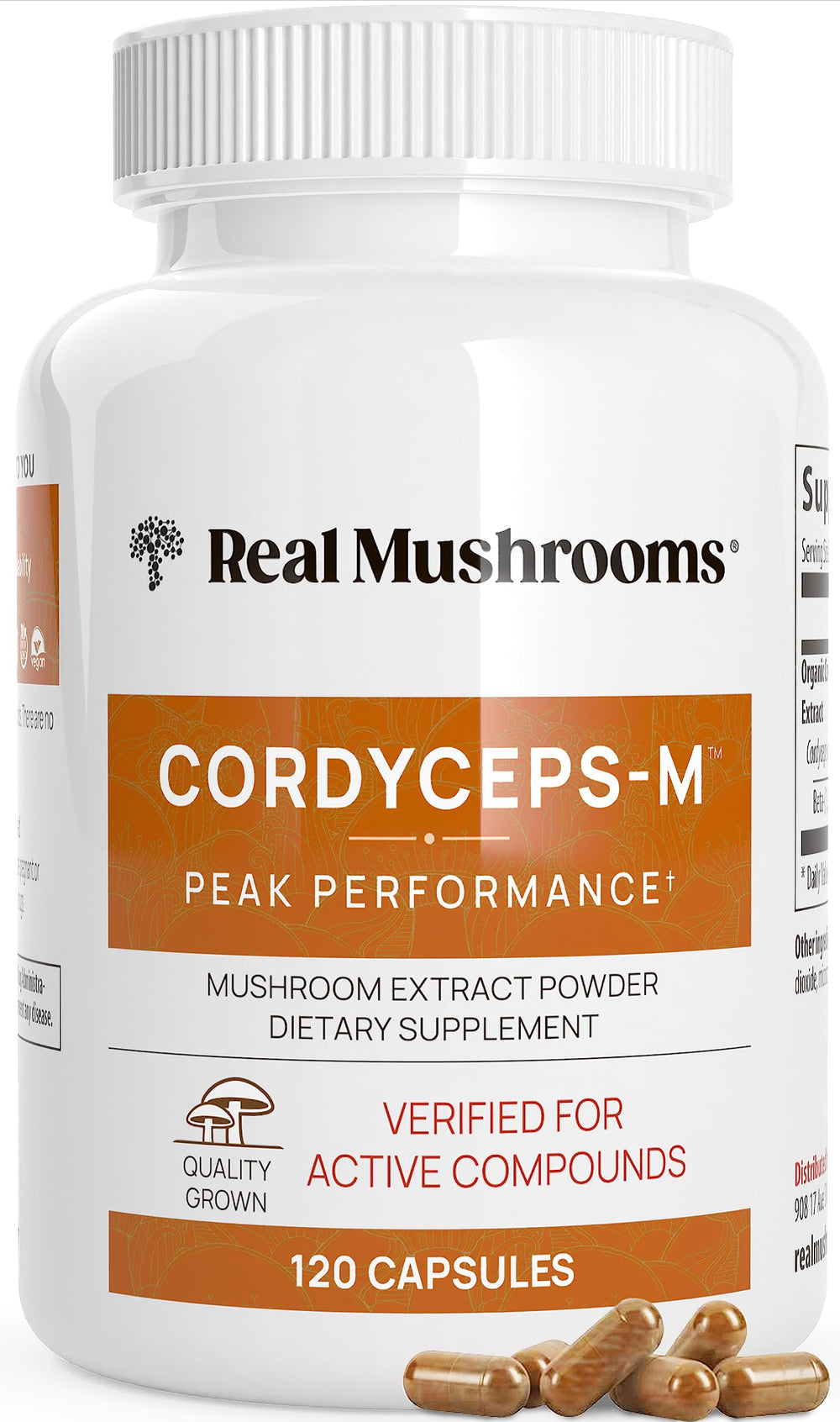 Cordyceps capsules 120 count