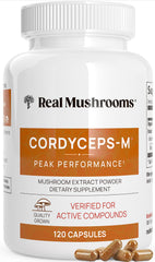 Cordyceps capsules 120 count