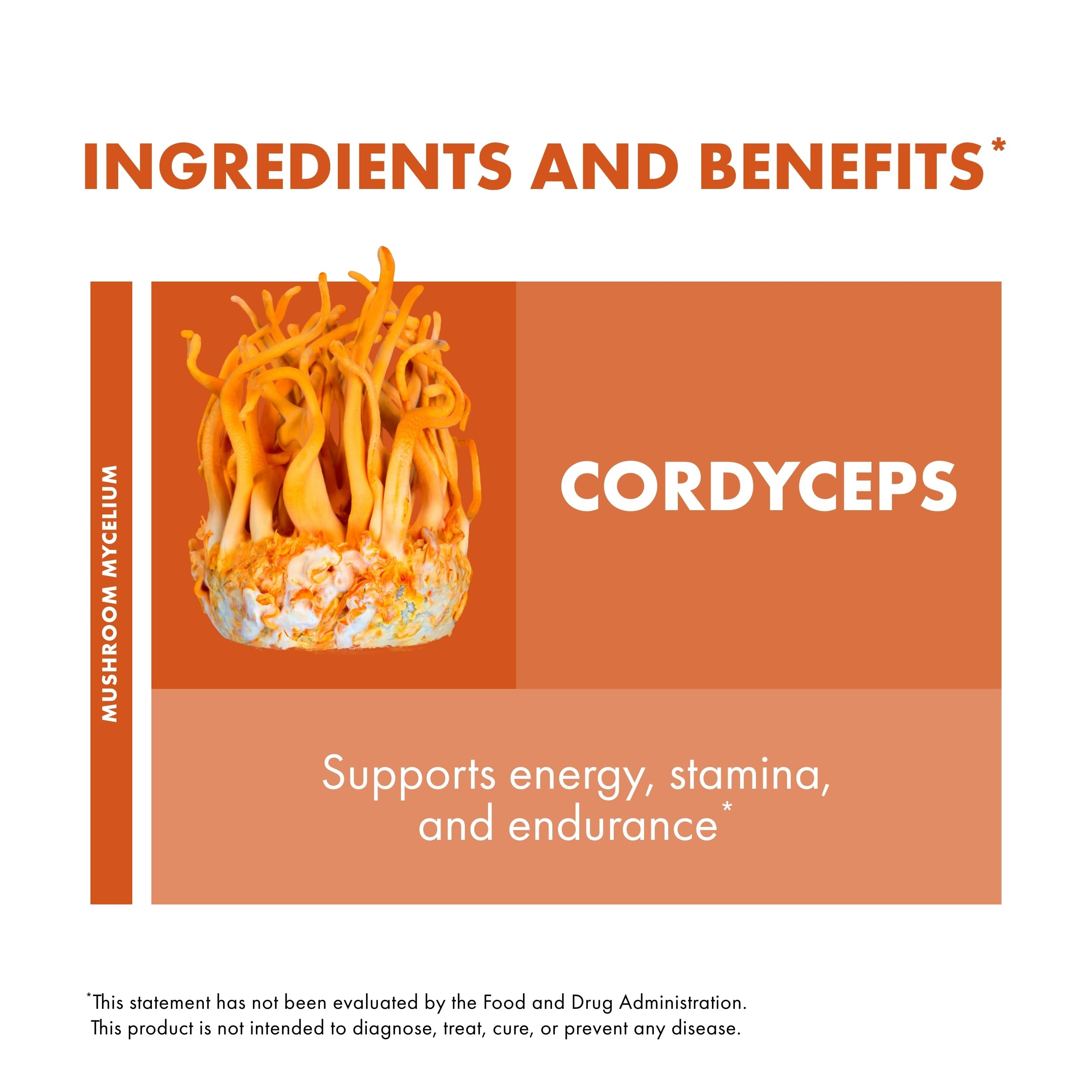 Cordyceps capsules with serving directions